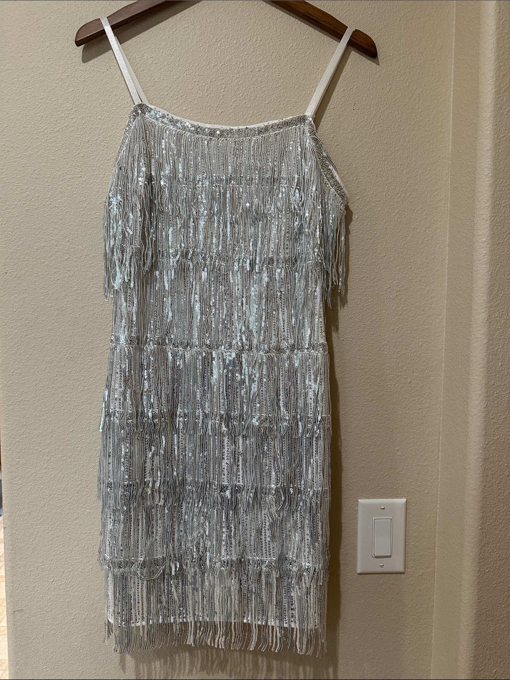 SHEIN Silver Sequin Fringe Mini Dress